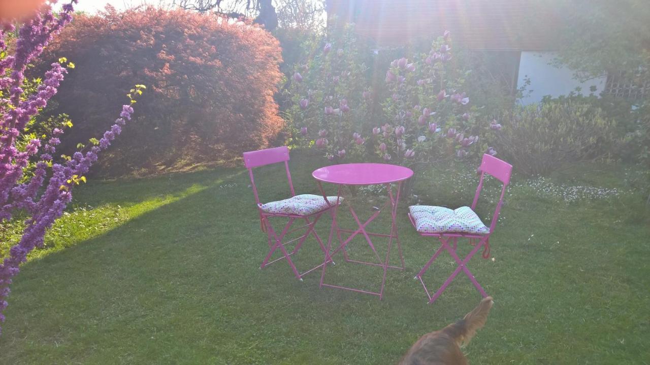 B&B Villa Giardini Susanna Gattico Exteriér fotografie